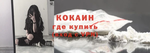 гашик Богданович