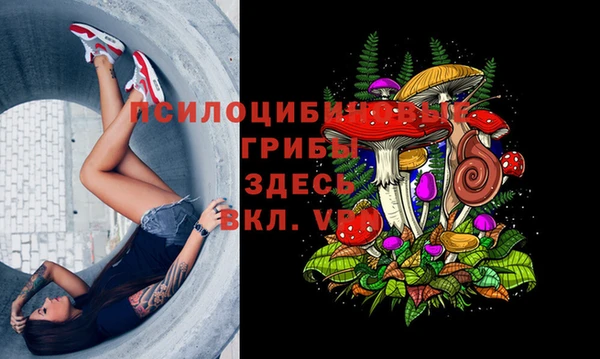 mdma Богородицк