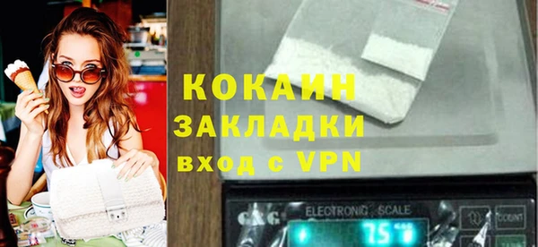 гашик Богданович