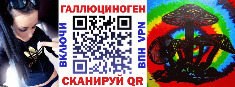 Псилоцибиновые грибы Psilocybe  Иннополис 