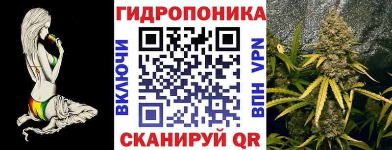 Конопля White Widow  OMG сайт  Иннополис 
